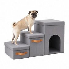 Escalier chien chat - escalier, chien,