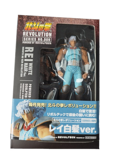 Hokuto ken survivant - hokuto,