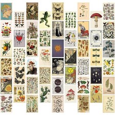 50 Kit de Collage Mural Botanique Vintage Esthétique - Ensemble de Photo - Af...