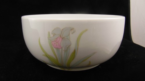 Saladier porcelaine de - porcelaine,