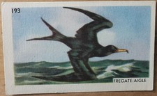 image album N° 2 entremets