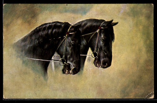 Deux chevaux attelage - en,