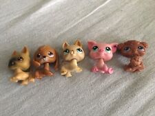 Lot 5 LPS Littlest Pet Shop