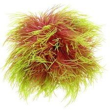  Décoration Pour Aquarium