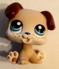 Litllest Petshop chiot Boxer #143 Hasbro authentique