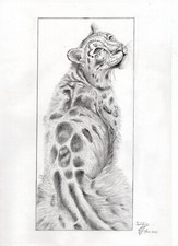 dessin  fait maison tigre 
