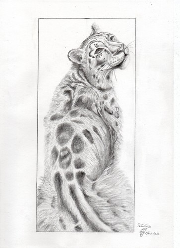 Dessin fait maison tigre - maison,