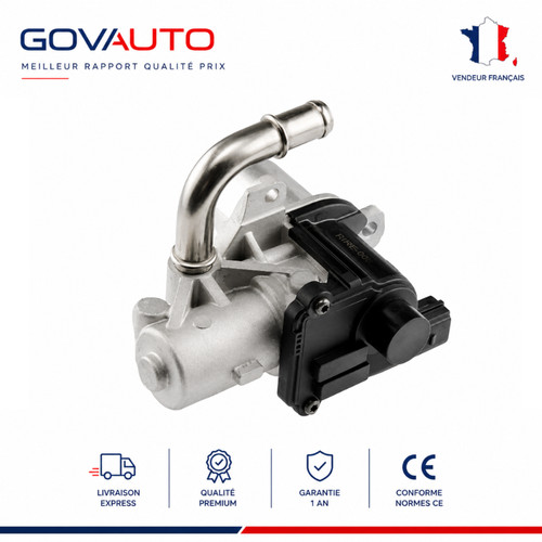 Vanne egr pour dacia renault - vanne,