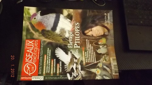 Revue cde oiseaux exotiques - oiseaux,
