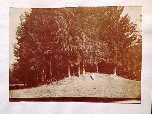 Az566 photo circa 1925 - photo, famille