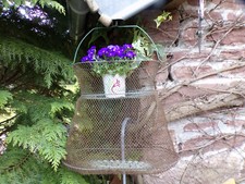 Ancienne bourriche de