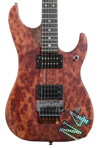 Washburn nuno bettencourt - washburn,
