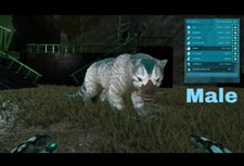 Ark Ps4 Pve Thylacoleo Bon Stat 