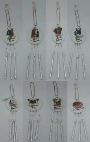 Jeu vent canin labrador - vent,