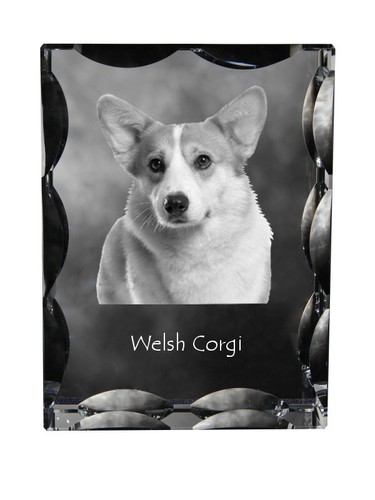 Pembroke welsh corgi cristal - welsh,