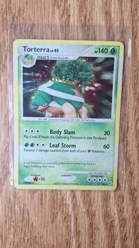 Torterra diamond pearl - &,