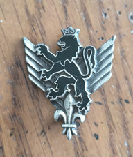 Insigne 6° RHC Régiment Hélicoptères Combat  /   Drago Paris G1904  ))144