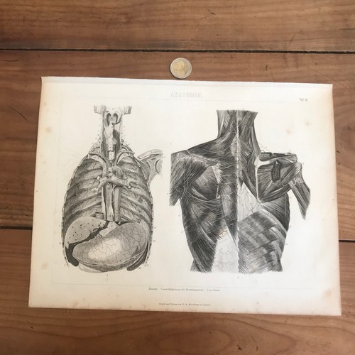 Gravure ancienne 19eme - 19eme, n748
