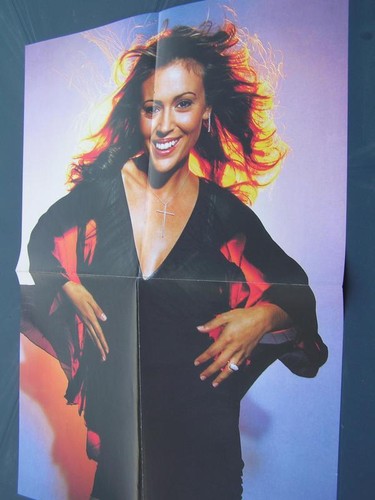 Poster charmed 40 cm - charmed, x