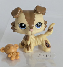 Authentique Petshop chien