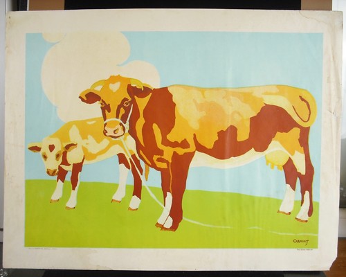 Affiche c1910 vache veau