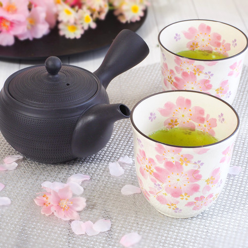 Théière japonaise noir