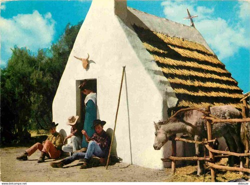 Carte postale camargue - -,