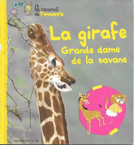 Carnet pirouette n 100 - le,