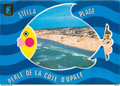Carte postale stella - carte, 62