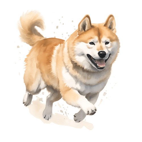 Autocollants akita inu - autocollants,
