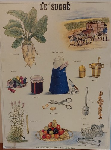 Affiche scolaire musée - affiche,