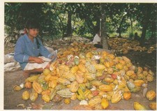 image chocolat POULAIN Hors