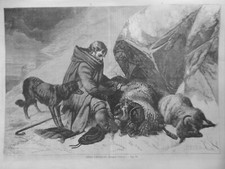 1858 1882 ANIMAUX BELIER MOUTON BREBIS 2 JOURNAUX ANCIENS