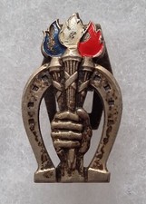 Insigne boutonnière politique - boutonnière,