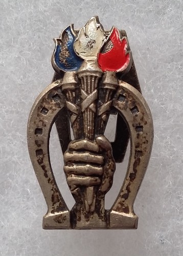 Insigne boutonnière politique - insigne,