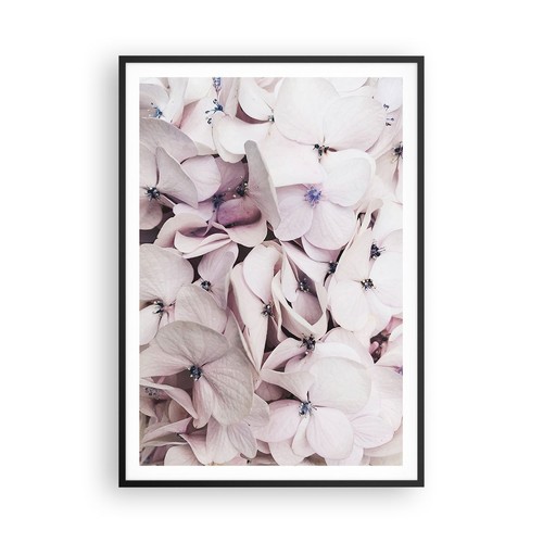 Affiche poster 70x100cm - poster,
