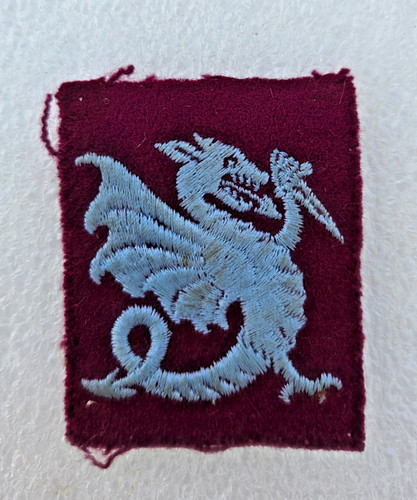 Patch tissu chimère