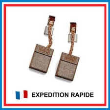 2X paire balai brosse carbone