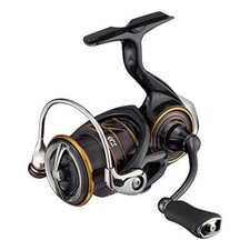 Moulinet pêche daiwa - daiwa, 21
