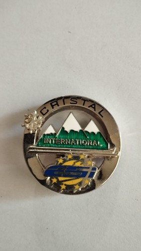 Insigne broche ski école - broche,