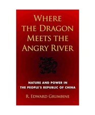 Where the Dragon Meets the