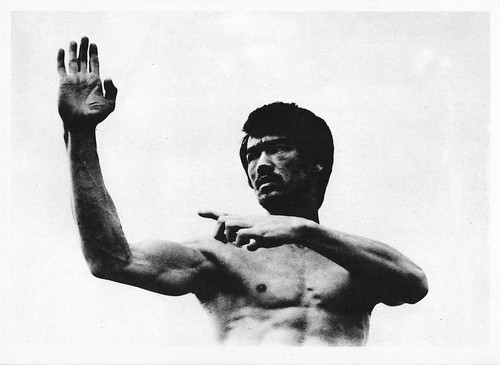 Bruce lee photo - bruce,