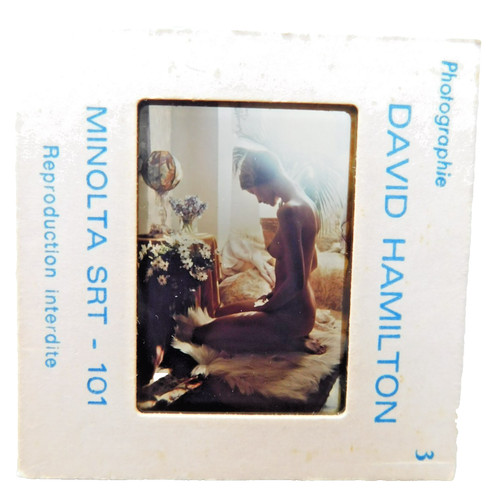 Diapositive originale david - ,