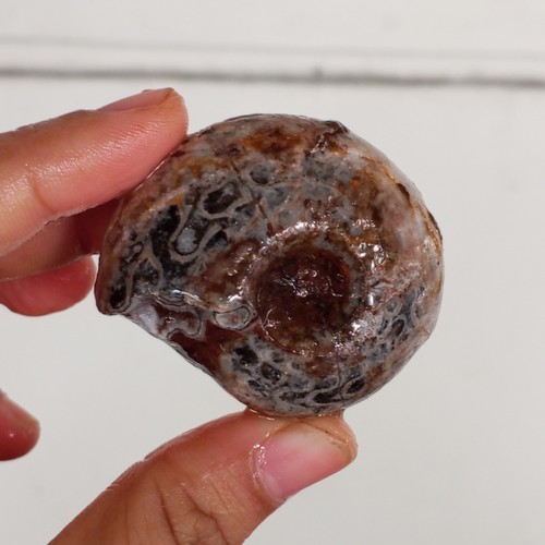 48gr top whole - top, black