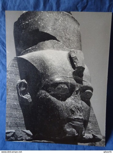 Egypte statue ramses - ramses, ii