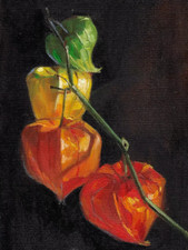 peinture originale A5 œuvre d’art peinture à l’huile fleurs physalis de chine