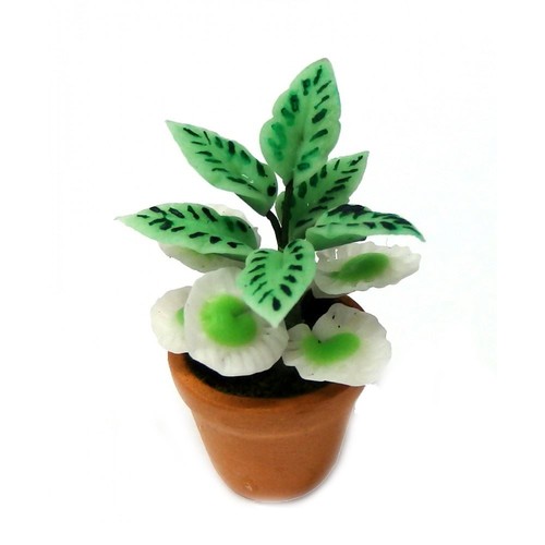 Poupées maison plante - plante, en
