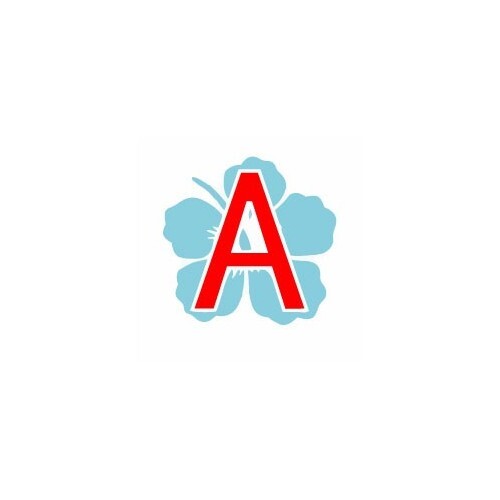 Jeune conducteur apprenti - jeune,