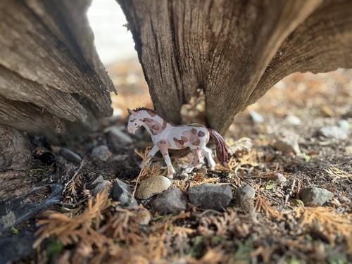 Schleich custom paint - schleich,,