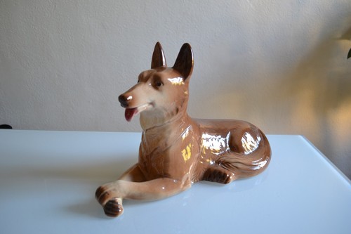 Chien loup berger - loup,